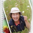 안계약국 이미지