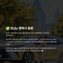 멍냥 펫택시 이미지