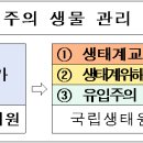 환경부 &#34;생태계교란 생물 1종, 유입주의 생물 150종 신규 지정&#34; 이미지