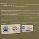 바다밥상 이미지