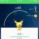 까치몰 이미지