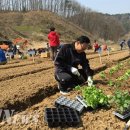 정원농장 이미지