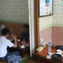 오리와생태의만남 이미지