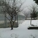 스타랜드 부동산중개 이미지