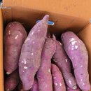 무농약 베니하루카 16000원(택포) 이미지