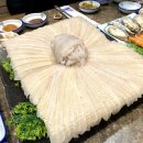 독도참가자미회 이미지