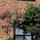 통기타기초(1년) 이미지