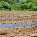 승규농장 이미지