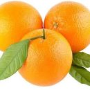 오렌지 효능 부작용 오렌지 칼로리 이미지