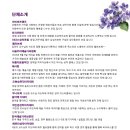 아트홀제이 이미지