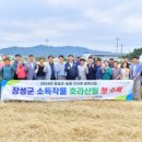 장성수퍼 이미지