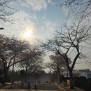 서호동-29 이미지