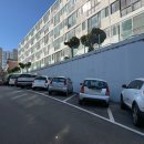 가마꽃돼지 이미지