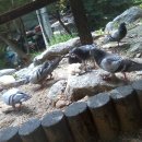 북한산 화장실 이미지