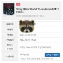 다시 올리는 콘서트 후기