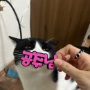 왕빈자전통주막에버랜드점