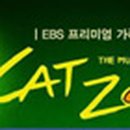 프리미엄캣 이미지