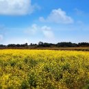 아름다운리조트 이미지