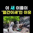 새 이미지
