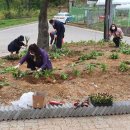 남촌도림동-13 이미지