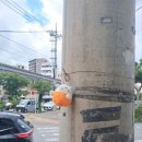 이맘때 | [오키나와 남부]이맘때쯤 다녀온 나하에서 벚꽃보고 온 후기(관광지,소품샵 추천 포함)