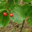 엔터테이너 거리 이미지