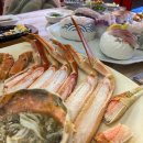 마이더스성인PC 이미지