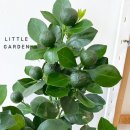 사계약국 이미지