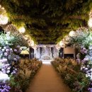 라온제나 이미지