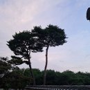 천 년의 담장을 사이에 두고, 아직도 가야 할 길. 이미지