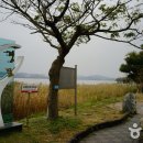 경포호(철새도래지) Daum카페