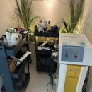 강서타워빌딩 | 마곡두피관리 “WT메소드 강서마곡점” 지루성두피, 탈모 관리 받은 후기