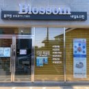 블라썸네일스킨