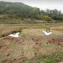 김병석공인중개사사무소 이미지