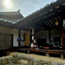 브라운도트 안동문화의거리점(구 포인트) | [일상의 기억] 나 혼자 떠나는 안동 3박 4일 뚜벅이 여행 코스 | 현지 맛집부터 가볼 만한 곳 총정리(1...