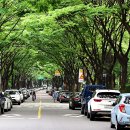 목동동로2길 이미지