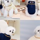 세라앤코코