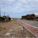 욜로골프아카데미(스크린9) | 시설부터 프로진까지 만족스러웠던 제주 골프레슨 유니골프 아카데미 &amp; 스크린 후기