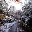 (모임 취소) 10월7일(화) 오후 2시 동탄 아파트 집벙 이미지