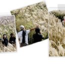 시민공원 남문 인근-1 이미지