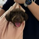 문화광장(공원) | 2024펫츠런 방문 후기🐶✨(일산호수공원+일산문화광장)