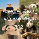 오봉제 | 경기도 용인 에버랜드 푸바오 막차 관람기, 바오가족 후기 (푸바오, 판다월드샵 기념품)