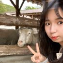 선민목장 이미지