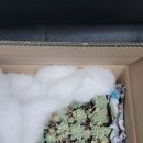 경산검도관 이미지