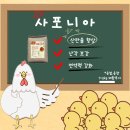 계두농장 이미지