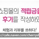마지아룩