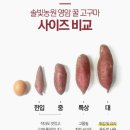 솔빛농원