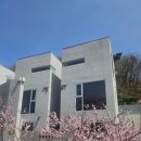 숲속 아지트 이미지