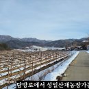 성일산채 이미지