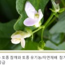 사단법인 가배울 이미지